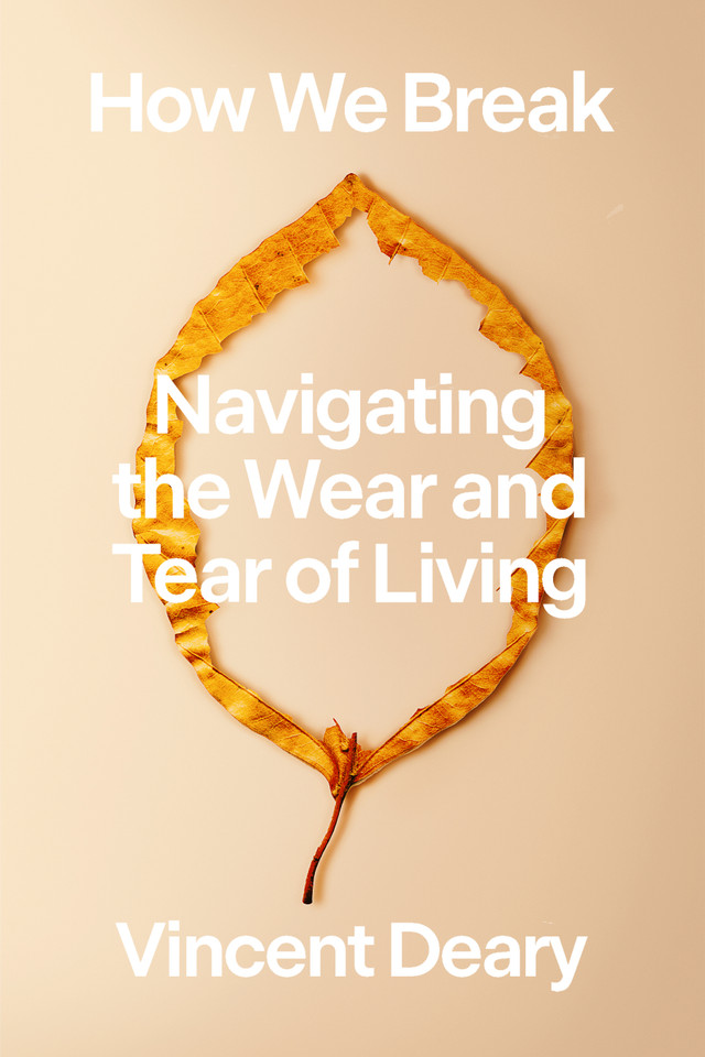 How We Break: Navigating the Wear and Tear of Living (How to Live Series #2) book cover by Vincent Deary