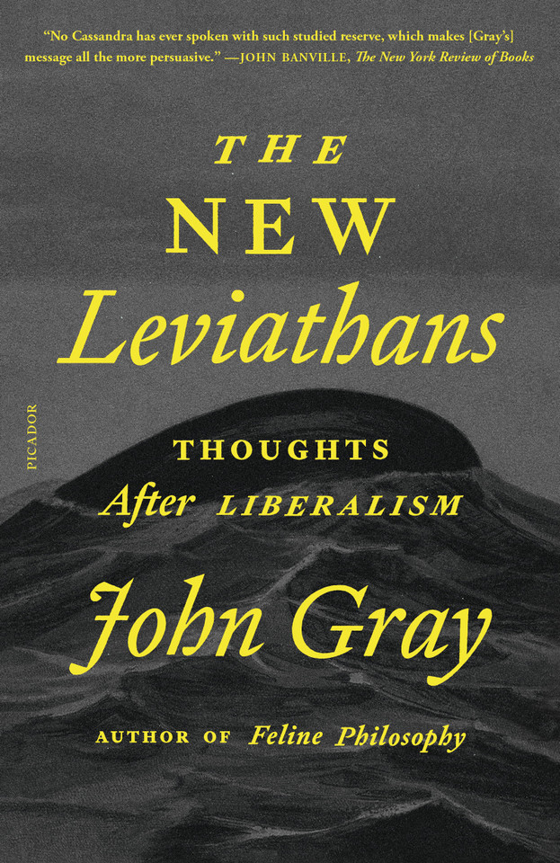 The New Leviathans: Thoughts After Liberalism book cover by John Gray