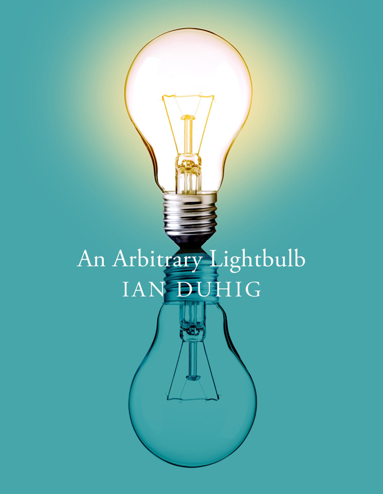 An Arbitrary Light Bulb book cover by Ian Duhig