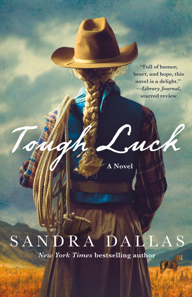 Tough Luck: A Novel book cover by Sandra Dallas