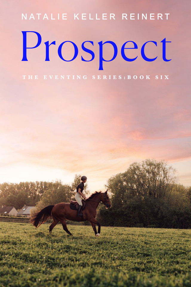 Prospect: A Novel book cover by Natalie Keller Reinert