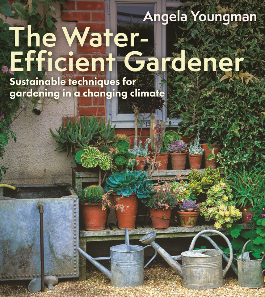 The Water-Efficient Gardener: Sustainable techniques for growing in a changing climate book cover by Angela Youngman
