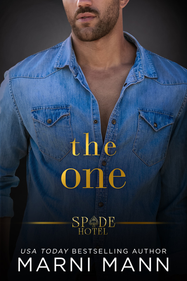 The One (Spade Hotel #5) [9781649379283]