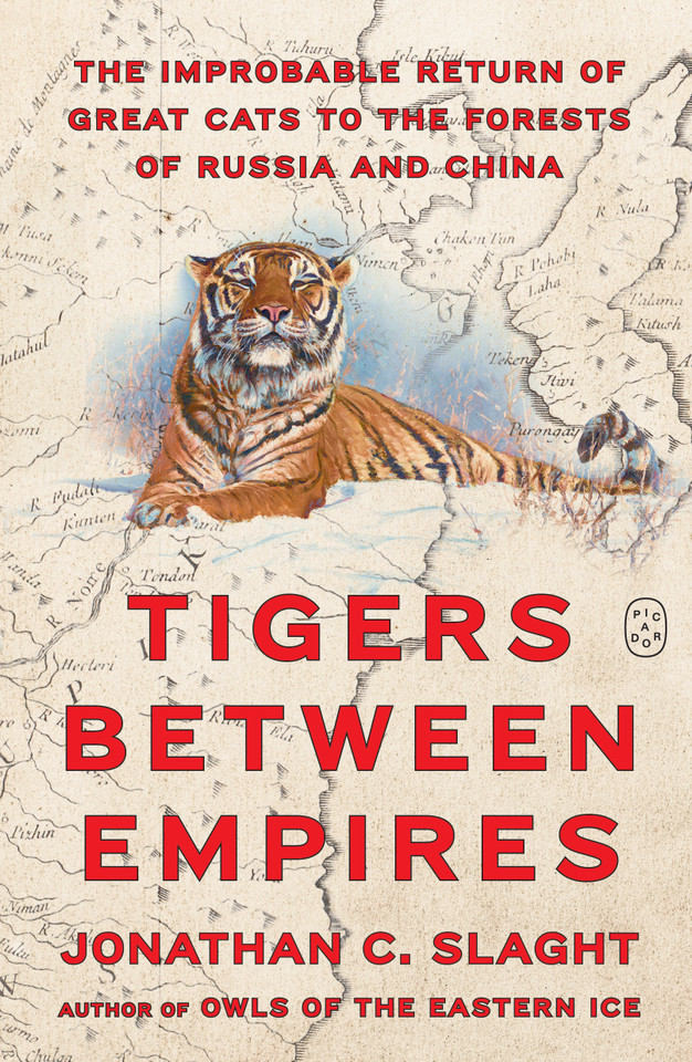 Tigers Between Empires: The Improbable Return of Great Cats to the Forests of Russia and China book cover by Jonathan C. Slaght