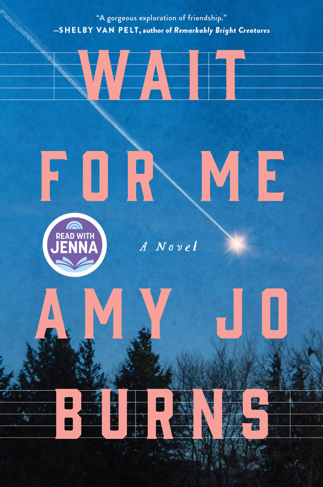 Wait for Me: A Novel book cover by Amy Jo Burns