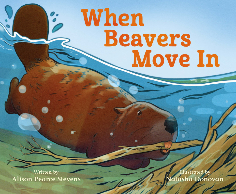 When Beavers Move In book cover by Alison Pearce Stevens