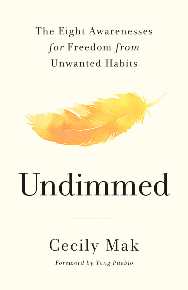 Undimmed: The Eight Awarenesses for Freedom from Unwanted Habits book cover by Cecily Mak