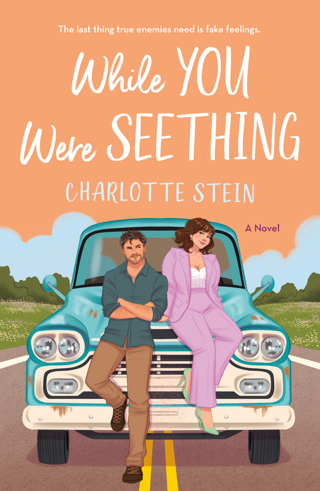 While You Were Seething: A Novel book cover by Charlotte Stein
