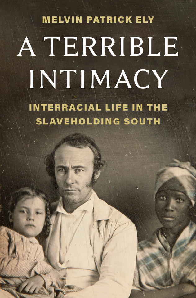 A Terrible Intimacy: Interracial Life in the Slaveholding South book cover by Melvin Patrick Ely