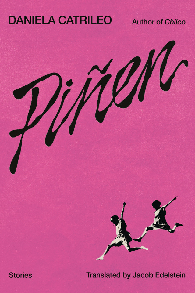 Piñen: Stories book cover by Daniela Catrileo