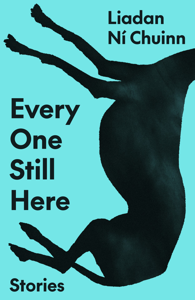 Every One Still Here: Stories book cover by Liadan Ní Chuinn
