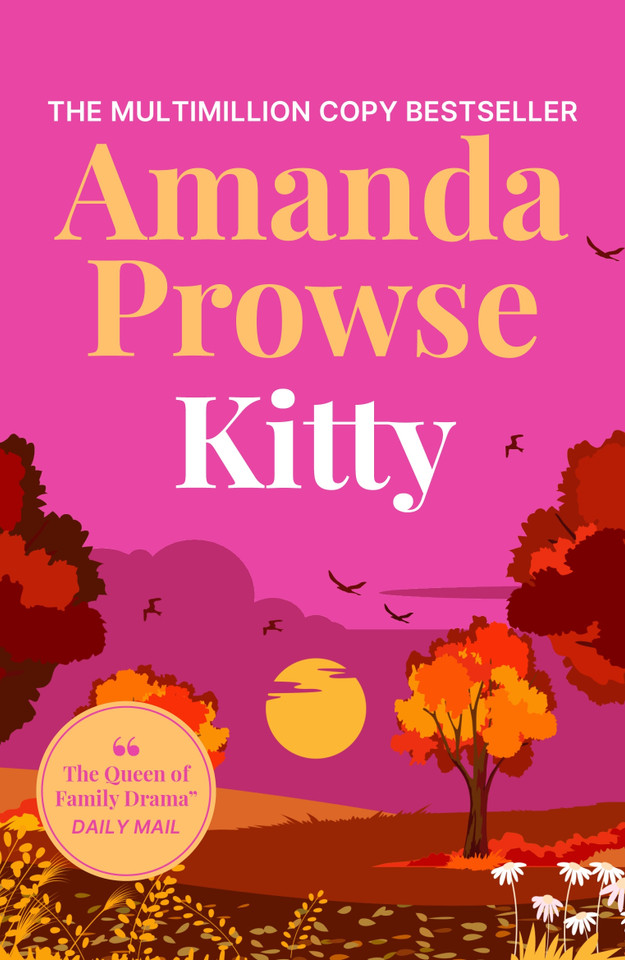 Kitty: A heart-warming story about second chance romance, previously titled 'How to Fall in Love Again' book cover by Amanda Prowse