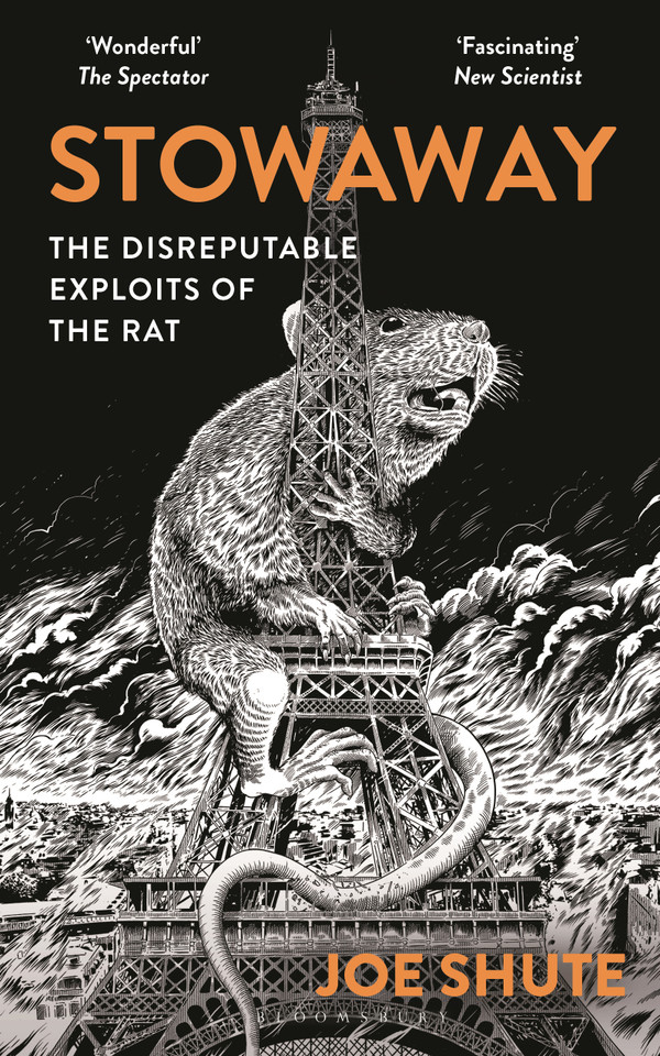 Stowaway: The Disreputable Exploits of the Rat – A NEW SCIENTIST NON-FICTION BOOK OF THE YEAR book cover by Joe Shute
