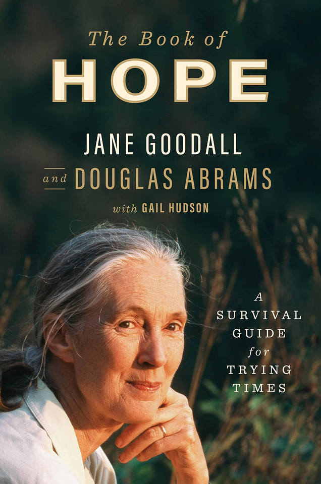 The Book of Hope: A Survival Guide for Trying Times - Cover