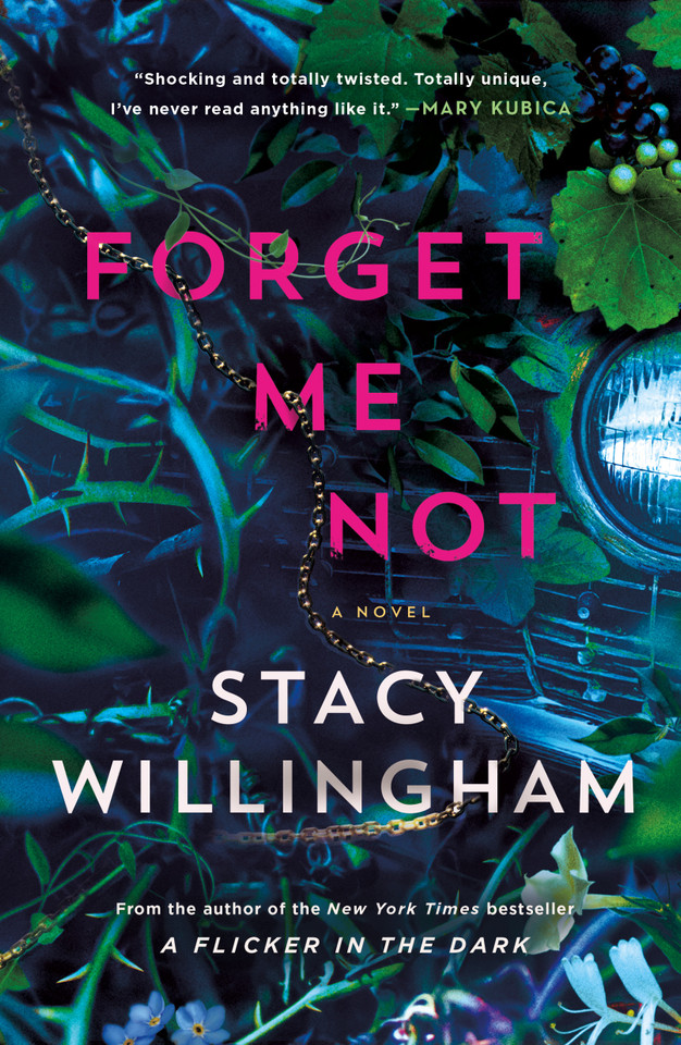 Forget Me Not: A Novel book cover by Stacy Willingham