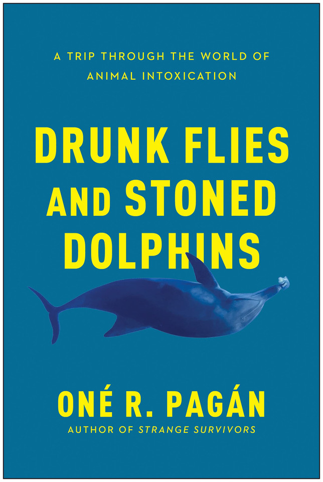 Drunk Flies and Stoned Dolphins - Cover