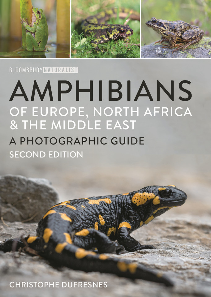 Amphibians of Europe, North Africa and the Middle East: Second Edition (Bloomsbury Naturalist) book cover by Christophe Dufresnes