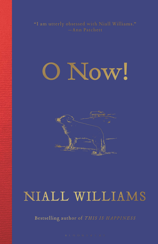O Now! book cover by Niall Williams