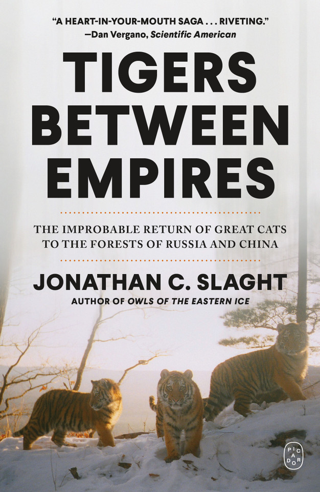 Tigers Between Empires: The Improbable Return of Great Cats to the Forests of Russia and China book cover by Jonathan C. Slaght