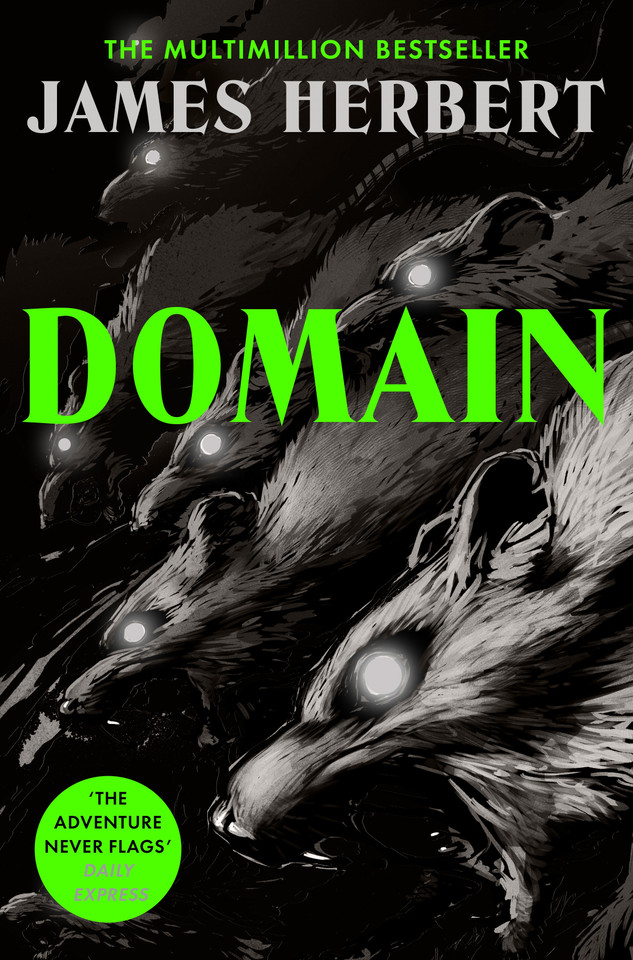 Domain book cover by James Herbert