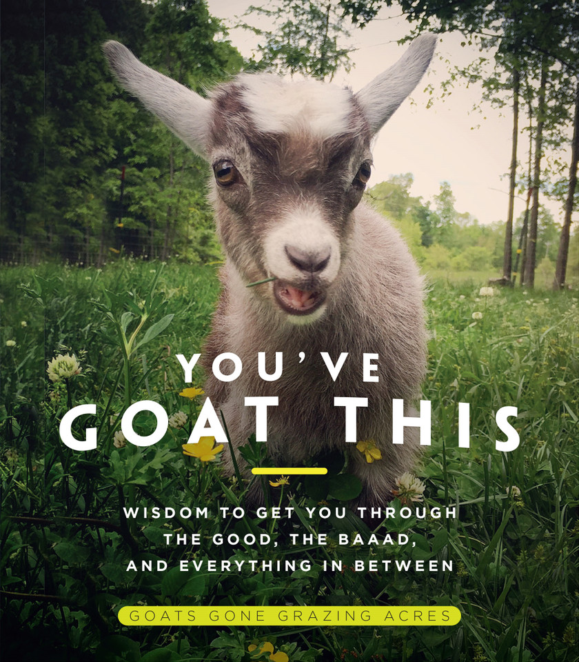 You've Goat This: Wisdom to Get You Through the Good, the Baaad, and Everything in Between book cover by Goats Gone Grazing Acres