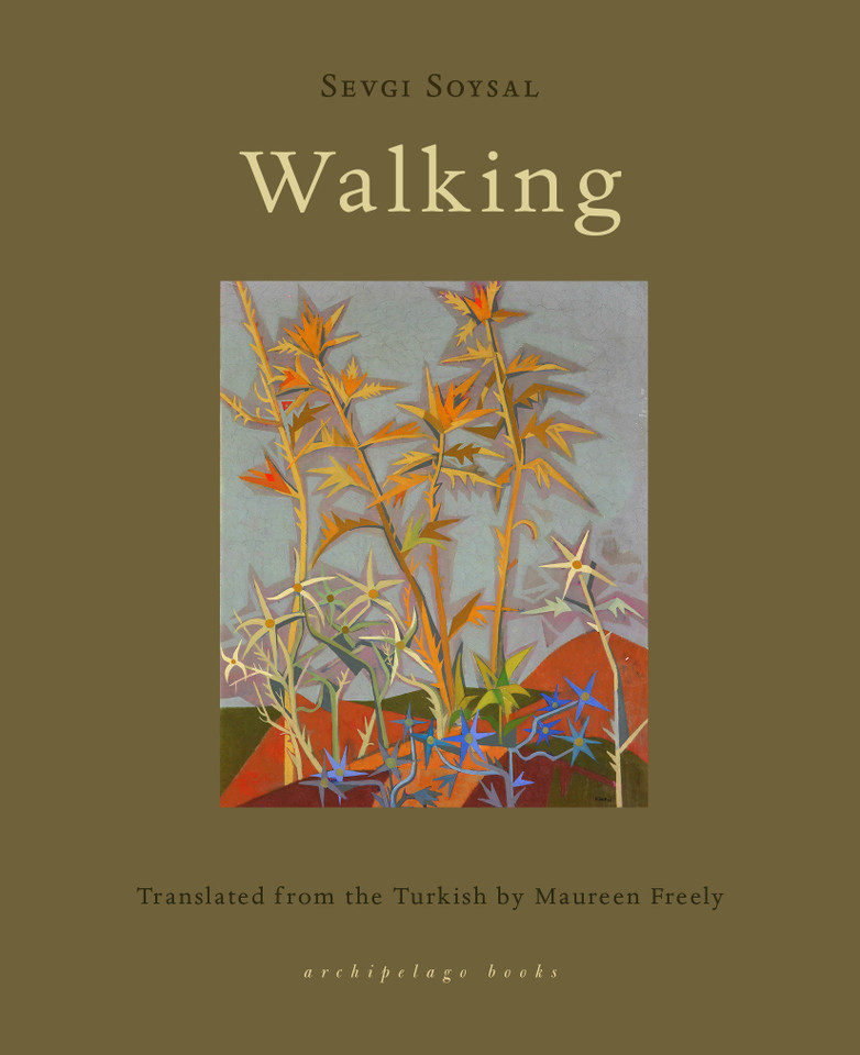 Walking book cover by Sevgi Soysal