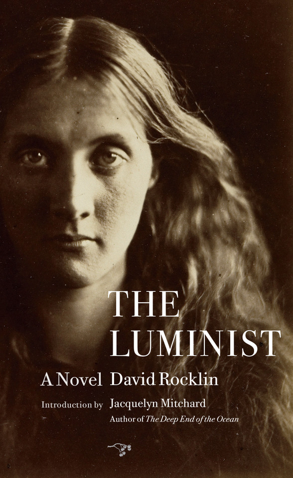 The Luminist: A Novel book cover by David Rocklin