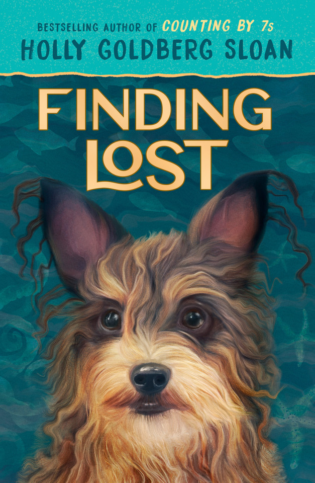 Finding Lost book cover by Holly Goldberg Sloan
