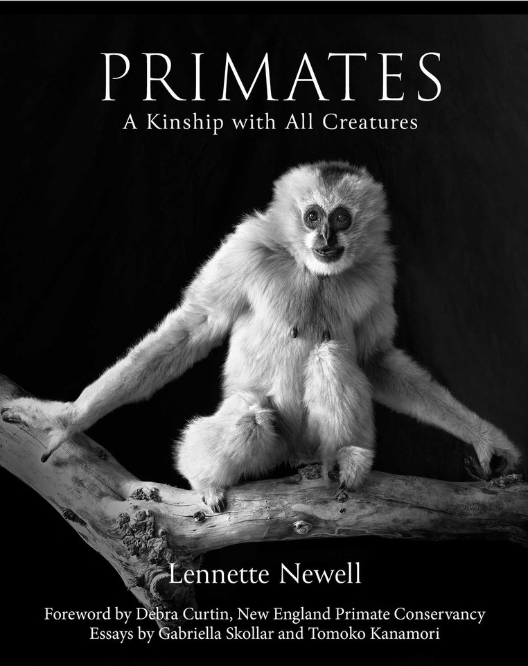 Primates: A Kinship with All Creatures book cover by Lennette Newell
