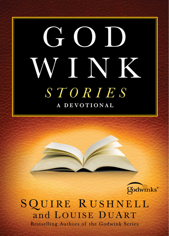 Godwink Stories: A Devotional (The Godwink Series) book cover by SQuire Rushnell