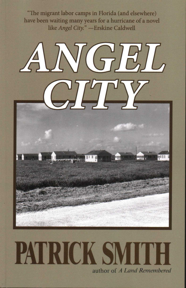 Angel City book cover by Patrick D Smith