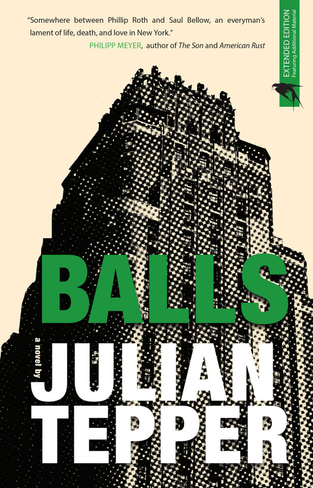 Balls: A Novel book cover by Julian  Tepper
