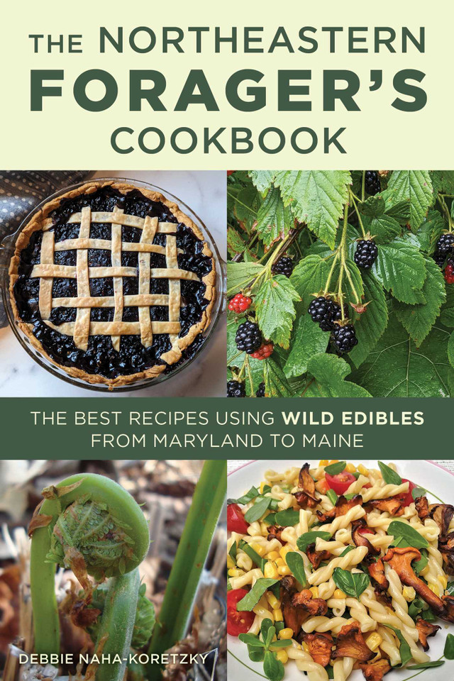 Northeastern Forager's Cookbook: The Best Recipes Using Wild Edibles from Maryland to Maine book cover by Debbie Naha-Koretzky