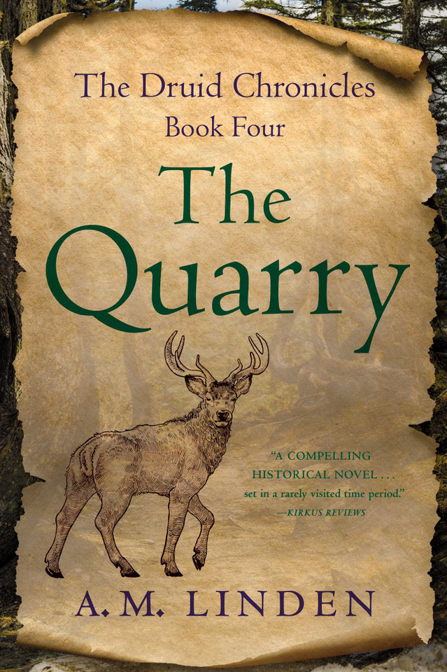 The Quarry: The Druid Chronicles, Book Four (The Druid Chronicles) book cover by A. M. Linden