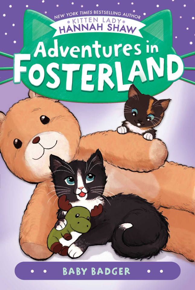 Baby Badger (Adventures in Fosterland) book cover by Hannah Shaw