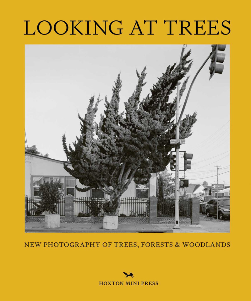 Looking at Trees: New photography of trees, forests and woodlands book cover by Sophie Howarth