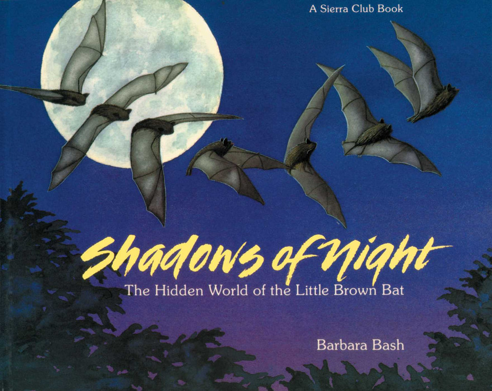 Shadows of the Night pb: The Hidden World of the Little Brown Bat (Sierra Club Books for Kids) book cover by Barbara Bash