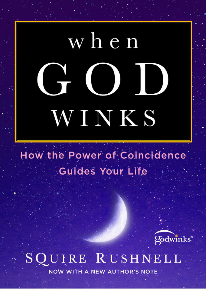 When God Winks: How the Power of Coincidence Guides Your Life (The Godwink Series) book cover by SQuire Rushnell