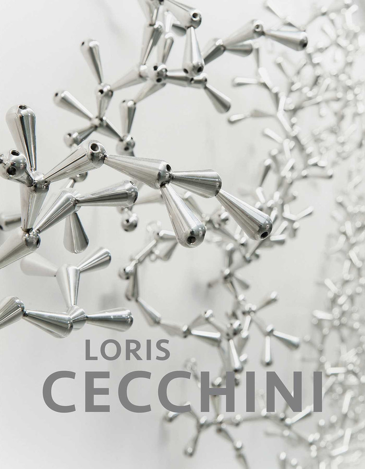 Loris Cecchini book cover by Loris Cecchini