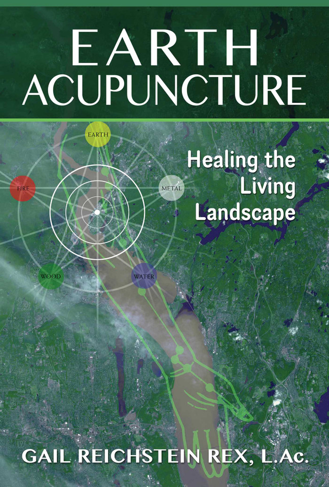 Earth Acupuncture: Healing the Living Landscape book cover by Gail Reichstein Rex