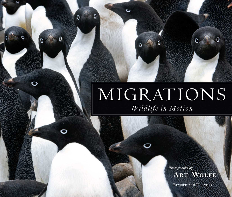 Migrations: Wildlife in Motion book cover by 