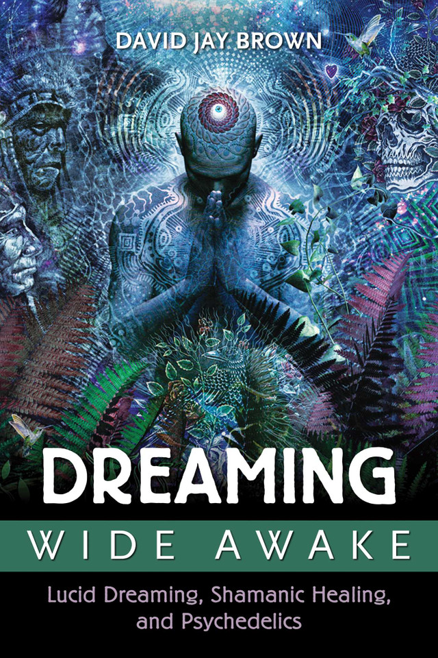 Dreaming Wide Awake: Lucid Dreaming, Shamanic Healing, and Psychedelics book cover by David Jay Brown