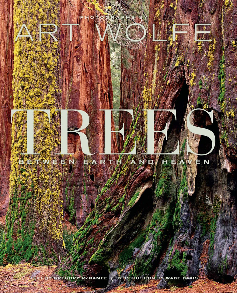Trees: Between Earth and Heaven book cover by Gregory McNamee