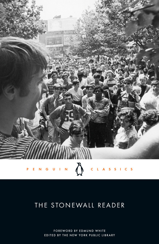 The Stonewall Reader book cover by 