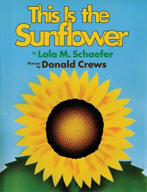 This Is the Sunflower book cover by Lola M. Schaefer