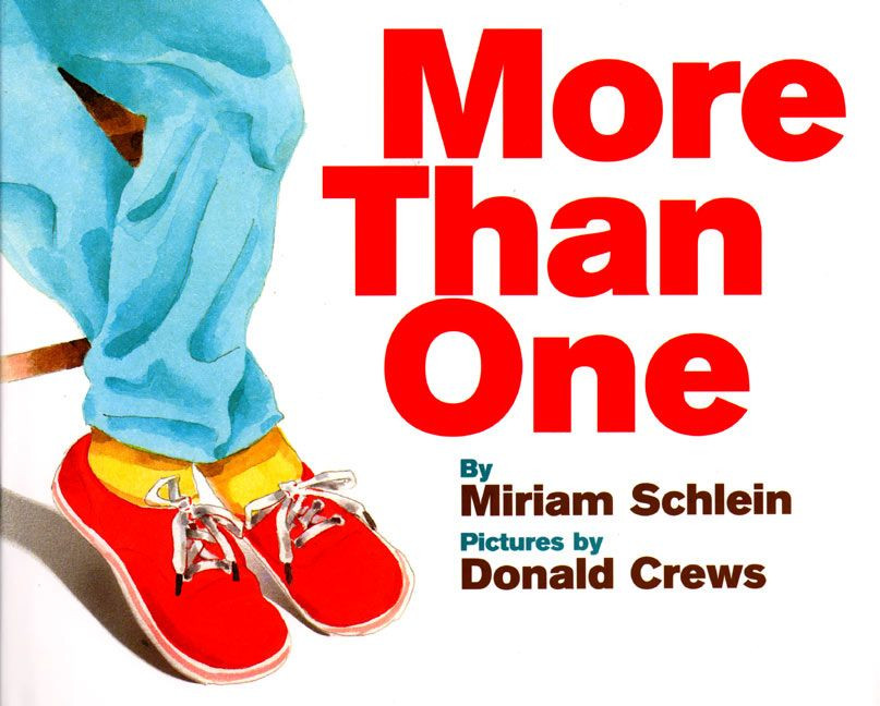 More Than One book cover by Miriam Schlein