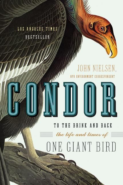Condor: To the Brink and Back--the Life and Times of One Giant Bird book cover by John Nielsen