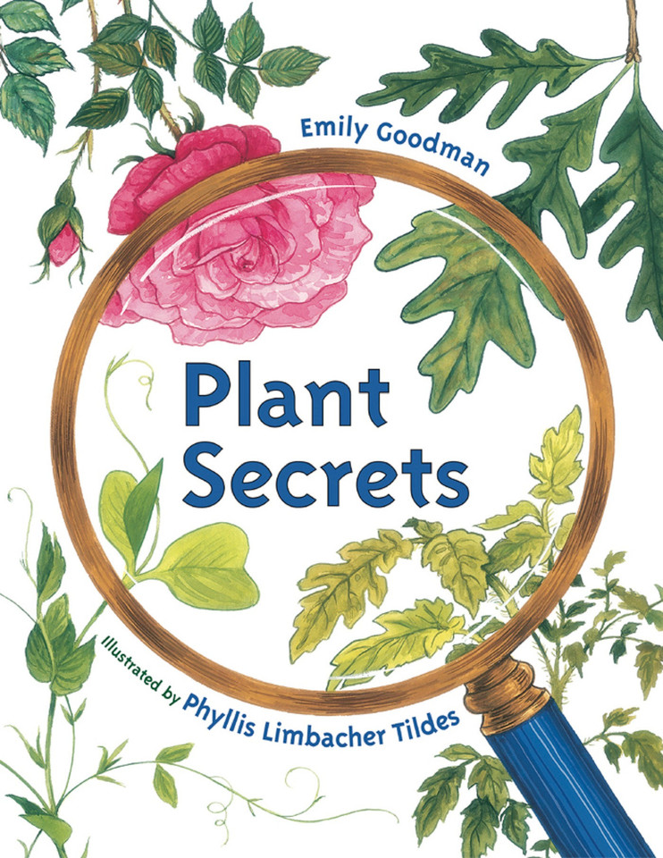 Plant Secrets book cover by Emily Goodman