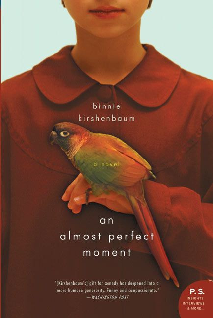 An Almost Perfect Moment: A Novel book cover by Binnie Kirshenbaum