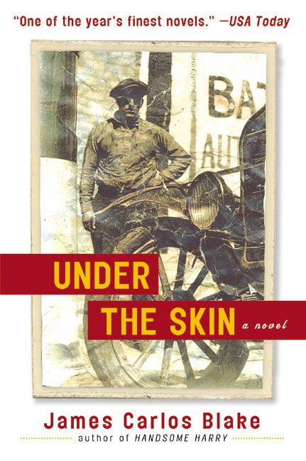 Under the Skin: A Novel book cover by James Carlos Blake